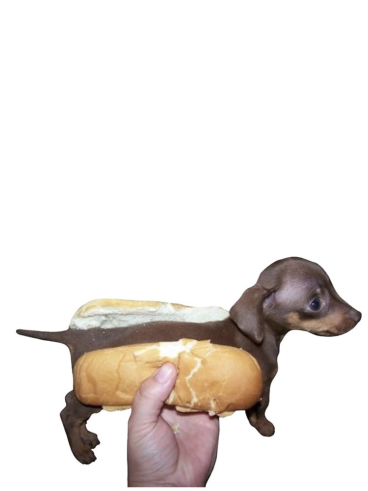 &quot;Hot Dog, aber es ist ein richtiger Hund&quot; Minirock von inyourcar