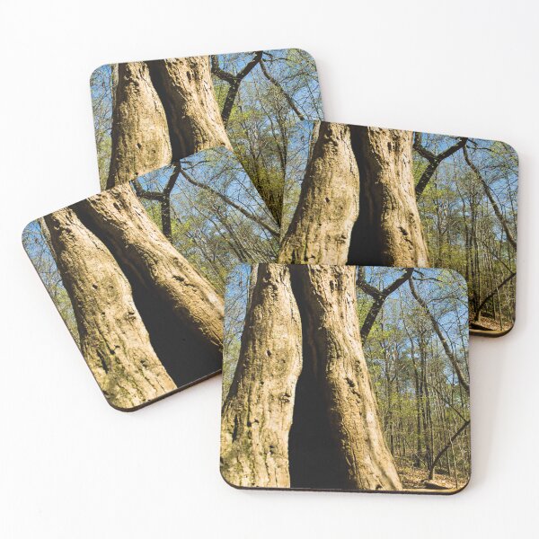 Item preview, Tree 8 designed and sold by rebeccaholbrook.