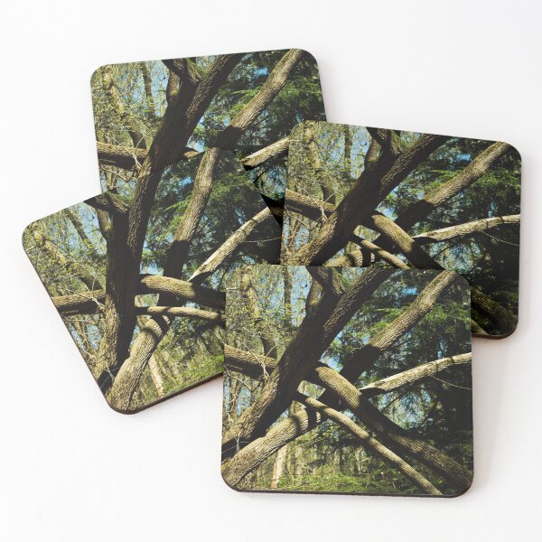 Item preview, Tree 9 designed and sold by rebeccaholbrook.