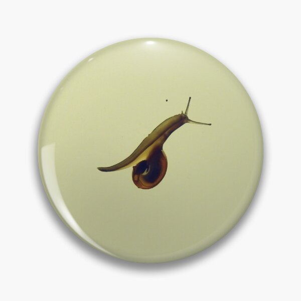 Item preview, transparency  designed and sold by Pepitaphotos.
