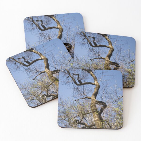 Item preview, Tree 11 designed and sold by rebeccaholbrook.