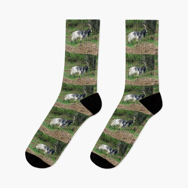 Item preview, goat designed and sold by KathleenDawson.