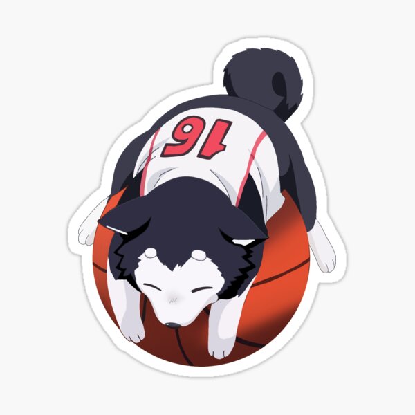 kuroko no basuke dog