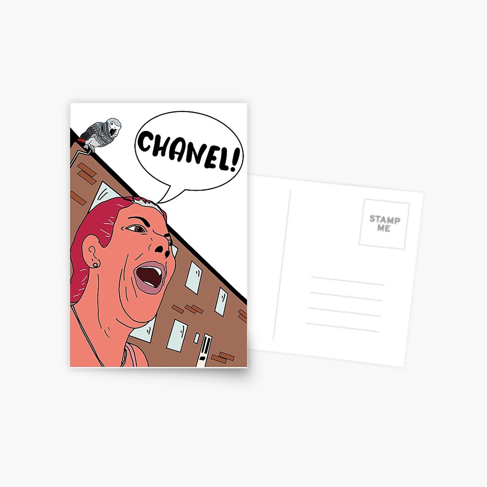 Chanel Viral Parrot Meme Design  Postcard for Sale by Charlotte Thomas