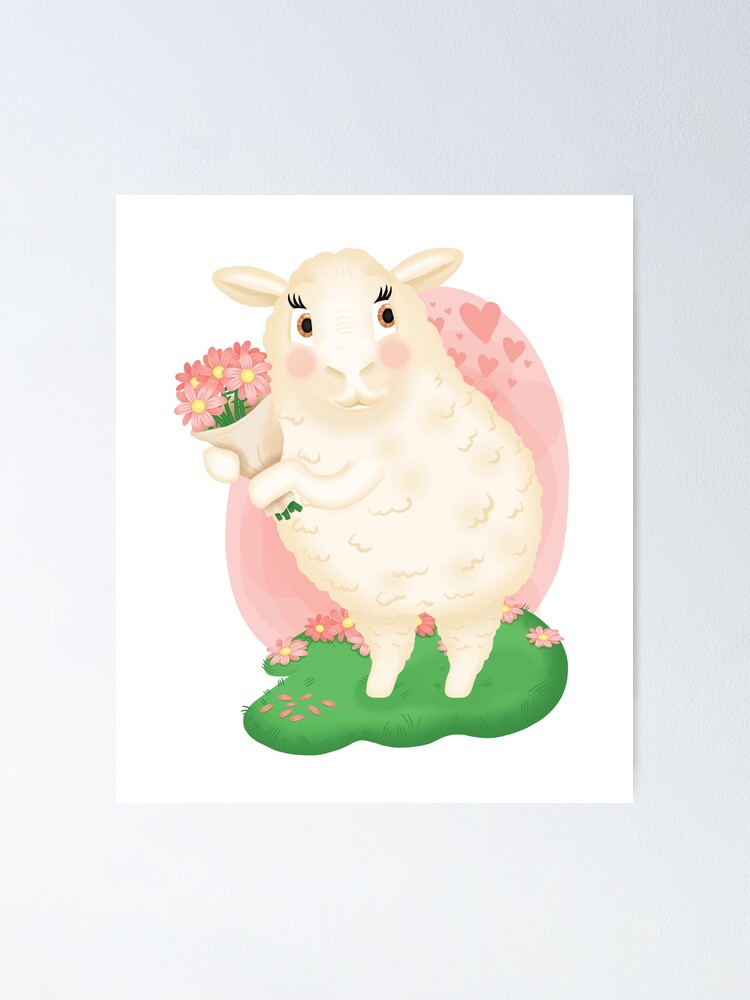 bashful sheep