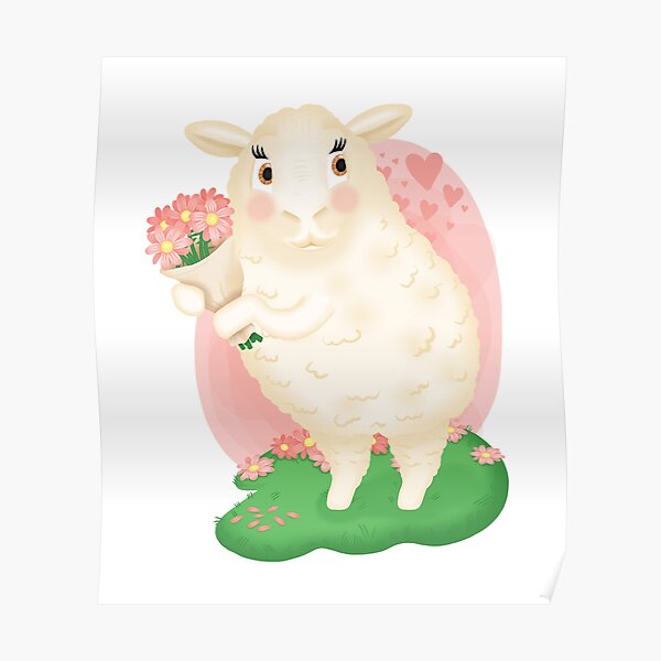 bashful sheep