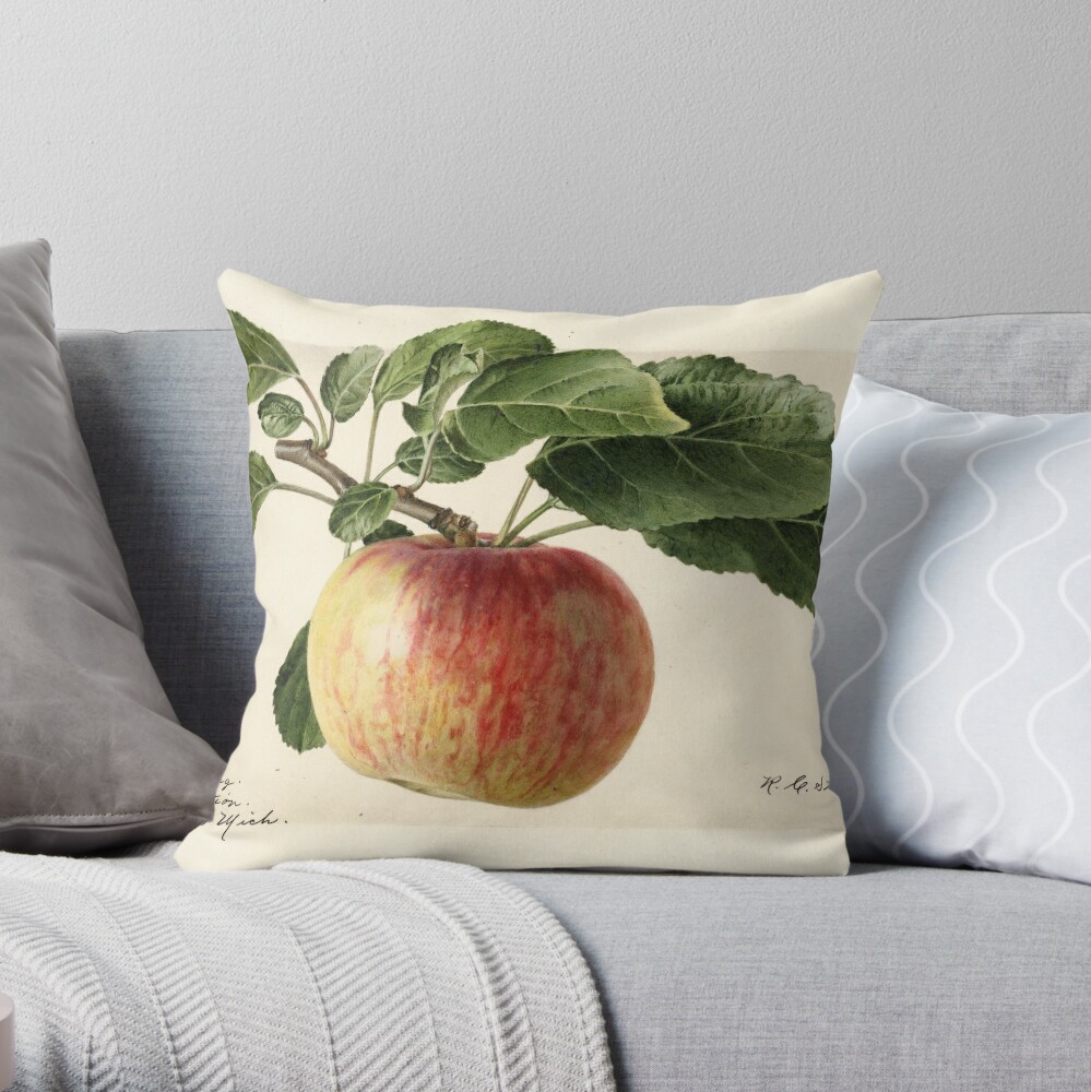 Vintage Oldenburg Apples Print Throw Pillow
