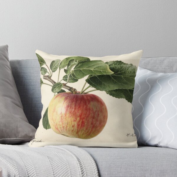 Vintage Oldenburg Apples Print Throw Pillow