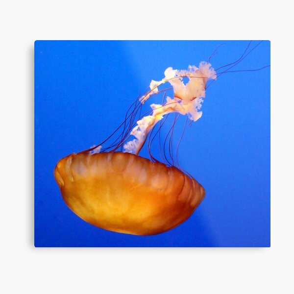 In Blue Metal Print