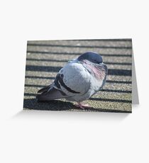 " Typical British summer. I'm freezing ". Greeting Card
