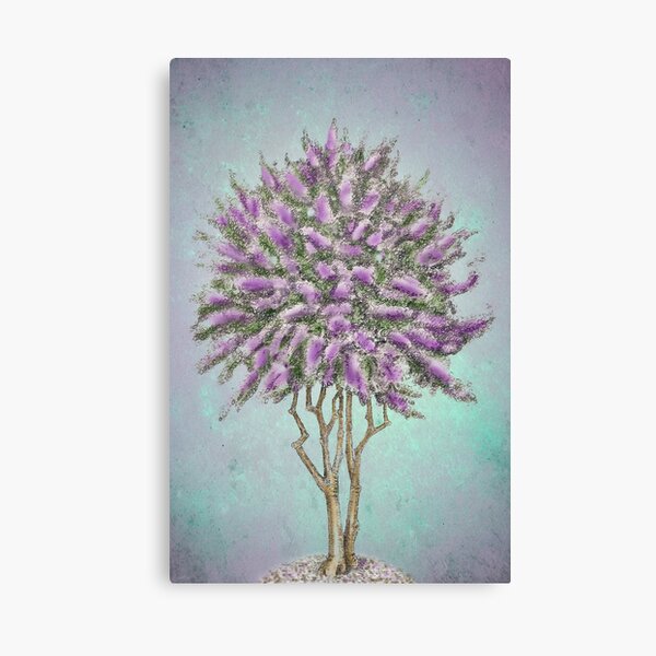 Crepe Myrtle Lavender Canvas Print