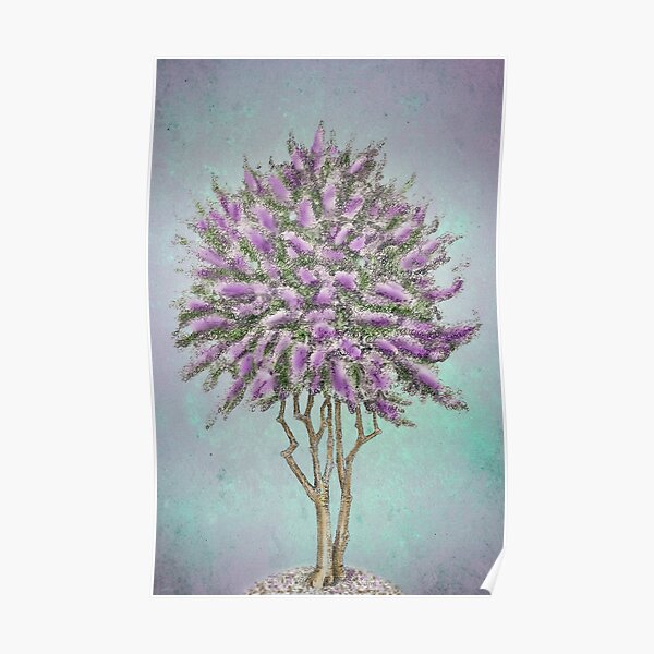 Crepe Myrtle Lavender Poster