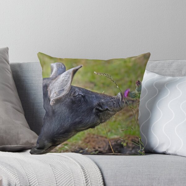 Item preview, Pig and Thistle designed and sold by davidelder.