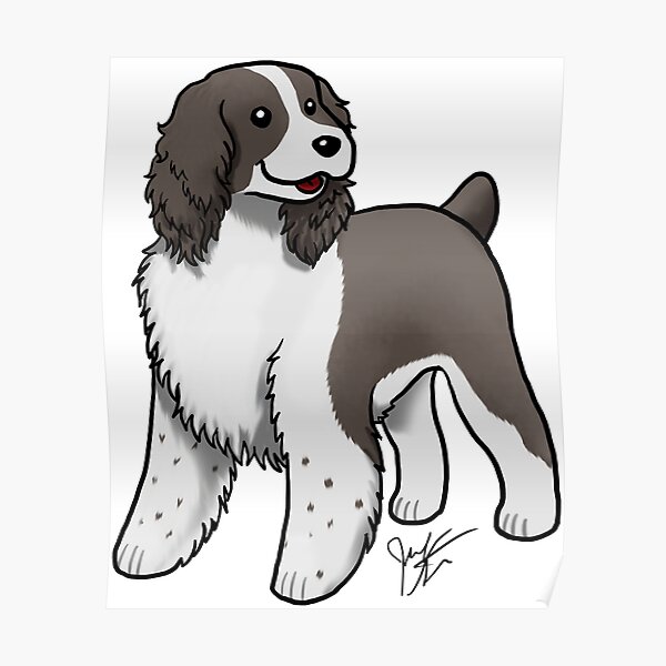Springer Spaniel Poster