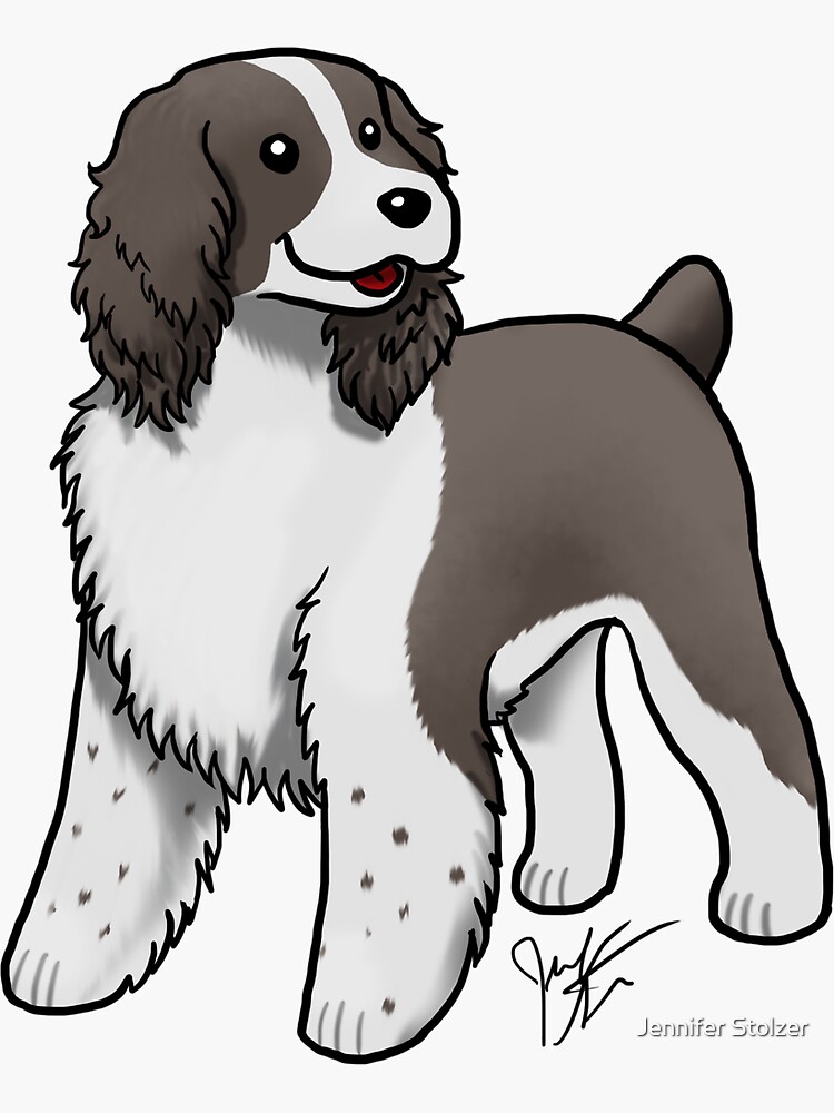 Springer Spaniel by jameson9101322