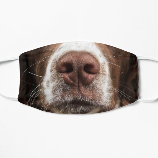 Spaniel Nose Face Mask Mask