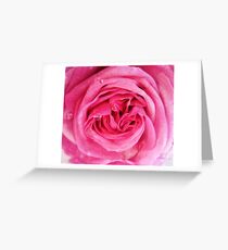 Rose Greeting Card