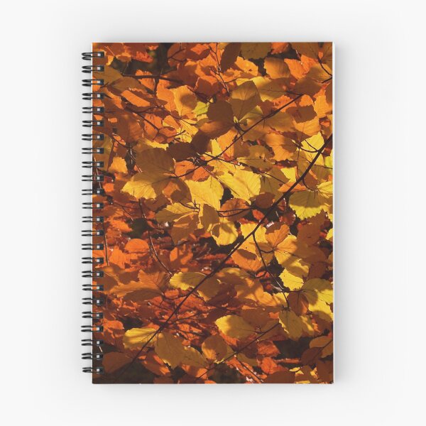 Item preview, Autumn Beech Leaves designed and sold by Neil Bygrave (NATURELENS).