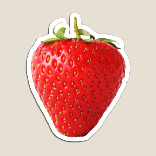 One Red Strawberry Magnet