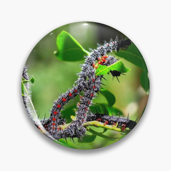 Item preview, Worms in a Tree designed and sold by Totallyalive.