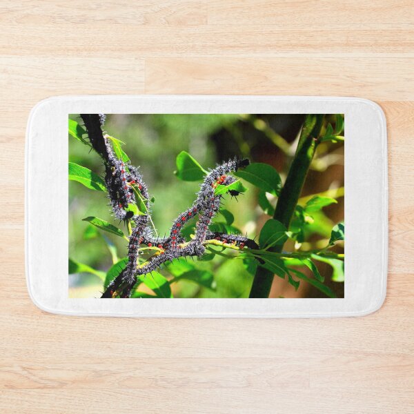 Item preview, Worms in a Tree designed and sold by Totallyalive.
