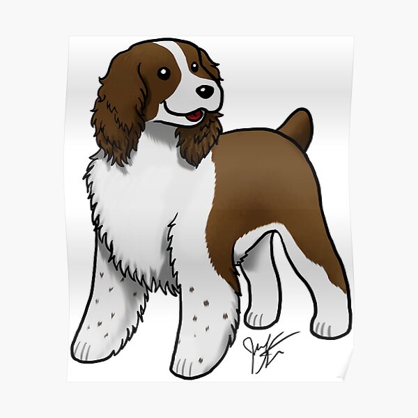 Springer Spaniel - Liver Poster