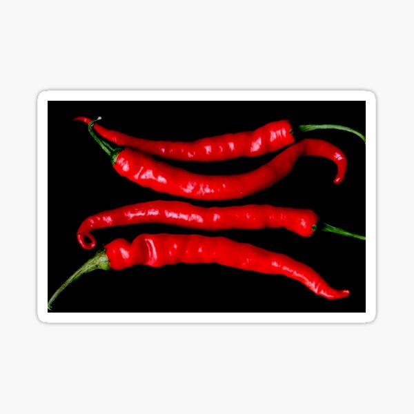 Four Red Chilies Sticker