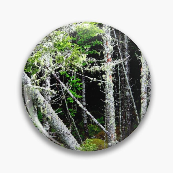 Item preview, Off the Beaten Path - Forest designed and sold by Totallyalive.