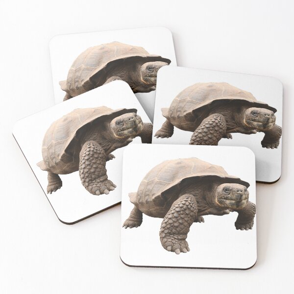 Item preview, Galapagos Tortoise designed and sold by Samvara.