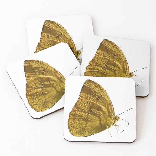 Item preview, Yellow Sulphur Butterfly designed and sold by Samvara.