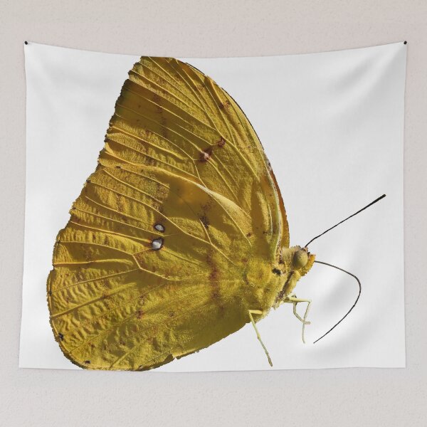 Item preview, Yellow Sulphur Butterfly designed and sold by Samvara.