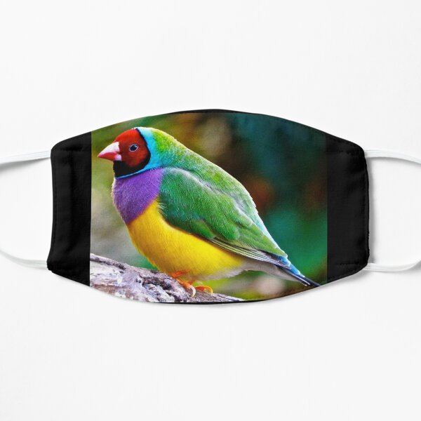 Australian Gouldian Finch; an Endangered Species Mask