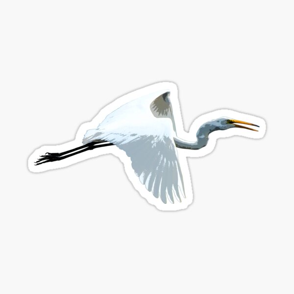Great Egret Color Print Sticker