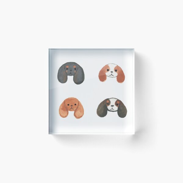 Item preview, Calieer King Charles Spaniels - Ruby, Black and Tan, Tri-colour and Blenheim designed and sold by jollyinu.