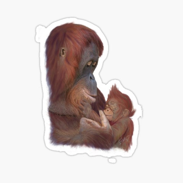 Orangutan Mother and Baby Realistic Wildlife Art Sticker