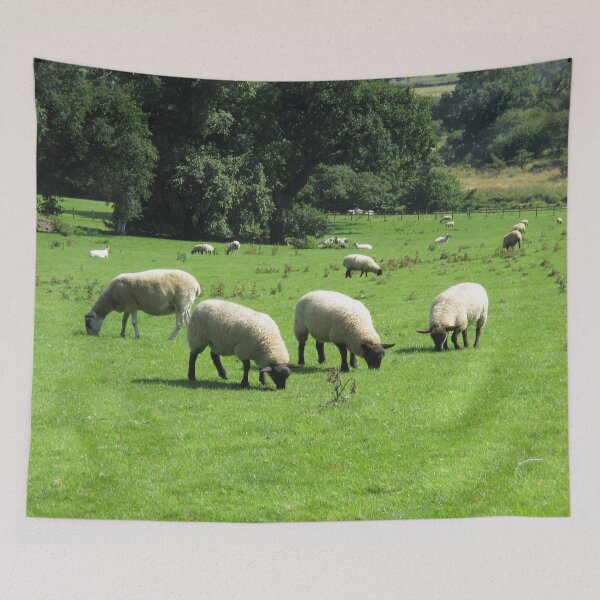 Item preview, #75 |☼| Sheep - Shot 1 (Hadrian's Wall) designed and sold by Naean H.F. (Nez Man).