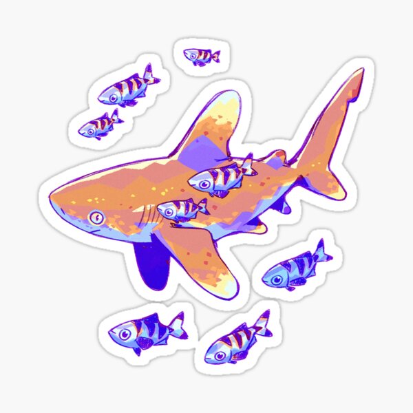 Item preview, Oceanic Whitetip Anatomy designed and sold by Requinoesis.