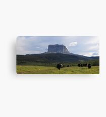 Chief Mountain Canvas Print