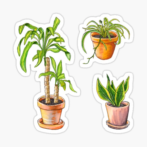 Jaycies Greenhouse Sticker