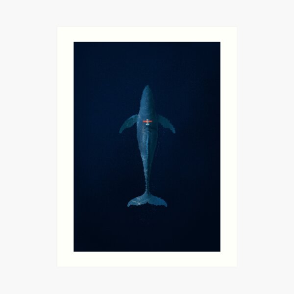 Small plane, Big adventures Art Print