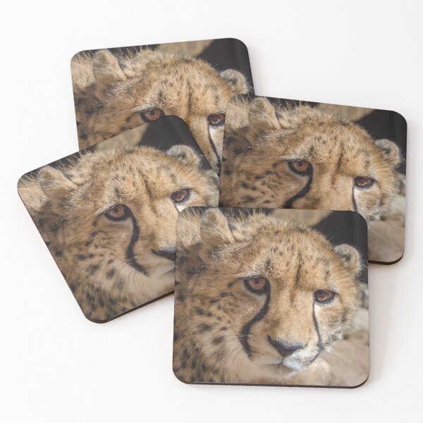 Item preview, Cheetah Glance - All eyes tell a story designed and sold by Kyra C. Kalageorgi.