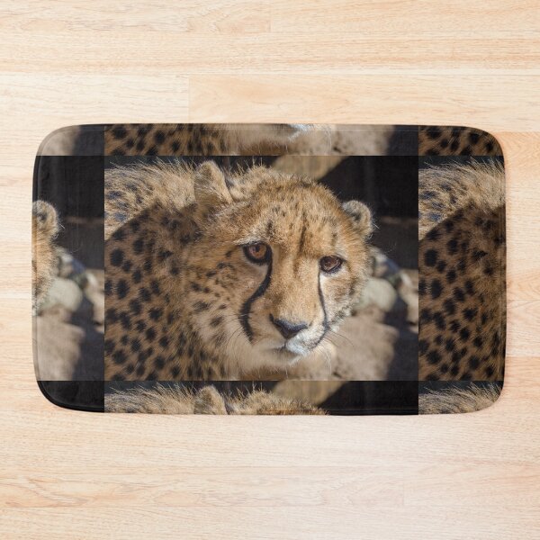 Item preview, Cheetah Glance - All eyes tell a story designed and sold by Kyra C. Kalageorgi.