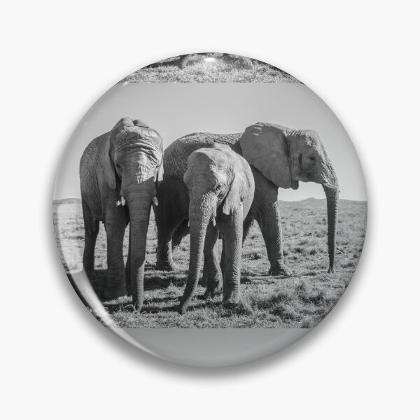 Item preview, African Elephants designed and sold by Kyra C. Kalageorgi.