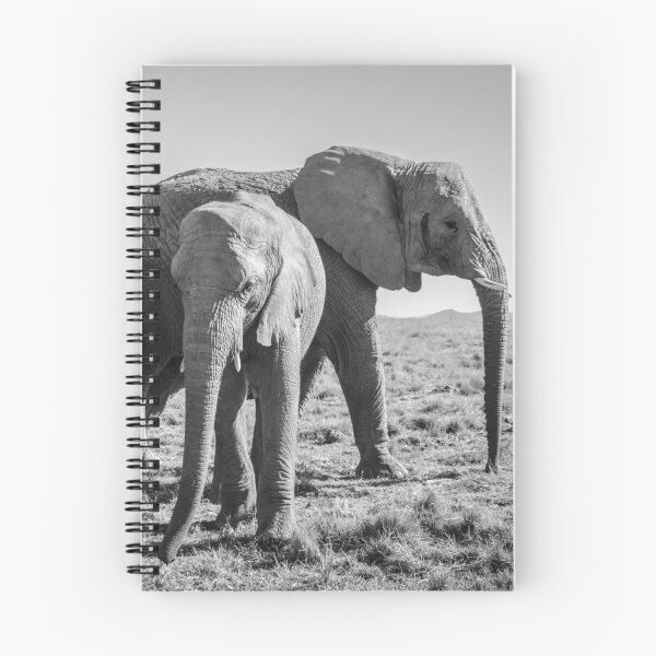 Item preview, African Elephants designed and sold by Kyra C. Kalageorgi.