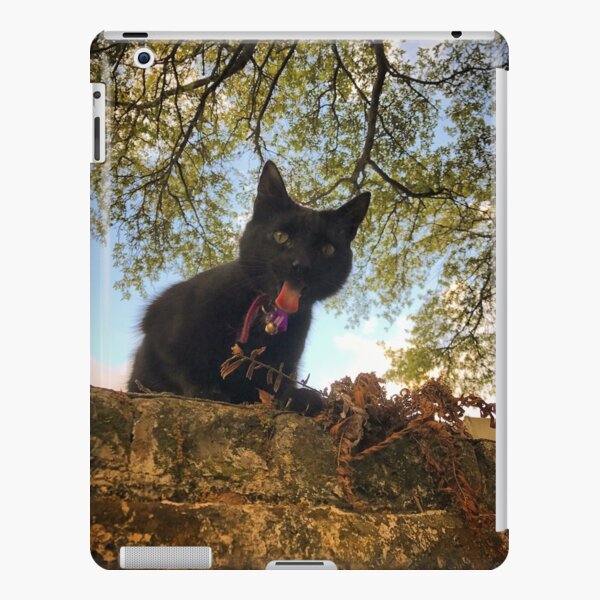 Cemetery Cat Goes Phhhhtttttt! iPad Snap Case