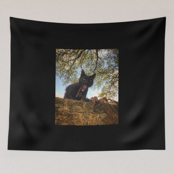 Item preview, Cemetery Cat Goes Phhhhtttttt! designed and sold by XXX Zombieboy XXX.