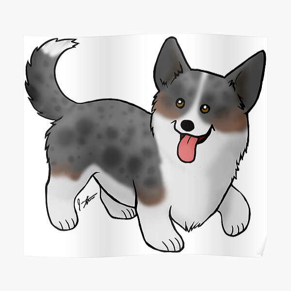 Cardigan Welsh Corgi - Merle Poster
