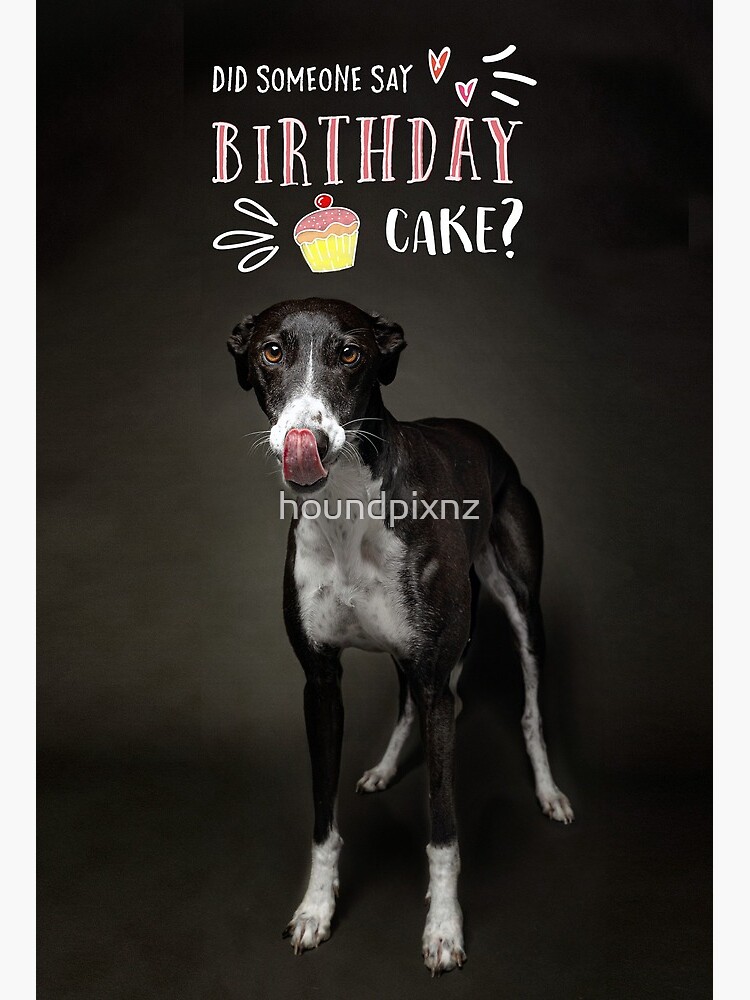 "Happy Birthday Greyhound" Art Board Print For Sale By Houndpixnz ...