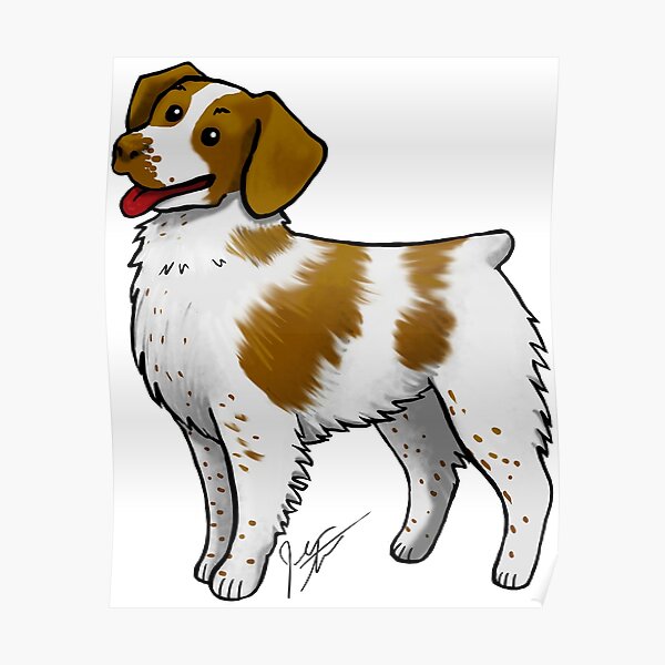 Brittany Spaniel Poster