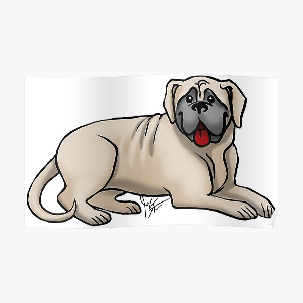 English Bull Mastiff Poster